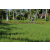 Team 54 / Raid l'Arbre Vert Amazones Bali - VTT