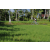 Team 09 / Raid l'Arbre Vert Amazones Bali - VTT