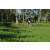 Team 03 / Raid l'Arbre Vert Amazones Bali - VTT