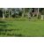 Team 03 / Raid l'Arbre Vert Amazones Bali - VTT