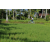 Team 03 / Raid l'Arbre Vert Amazones Bali - VTT