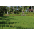 Team 37 / Raid l'Arbre Vert Amazones Bali - VTT