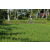 Team 37 / Raid l'Arbre Vert Amazones Bali - VTT
