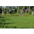 Team 37 / Raid l'Arbre Vert Amazones Bali - VTT