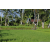 Team 20 / Raid l'Arbre Vert Amazones Bali - VTT