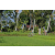 Team 32 / Raid l'Arbre Vert Amazones Bali - VTT