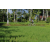 Team 35 / Raid l'Arbre Vert Amazones Bali - VTT