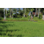 Team 35 / Raid l'Arbre Vert Amazones Bali - VTT
