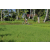 Team 17 / Raid l'Arbre Vert Amazones Bali - VTT