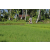 Team 17 / Raid l'Arbre Vert Amazones Bali - VTT