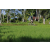 Team 41 / Raid l'Arbre Vert Amazones Bali - VTT