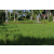 Team 52 / Raid l'Arbre Vert Amazones Bali - VTT