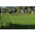 Team 52 / Raid l'Arbre Vert Amazones Bali - VTT
