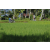 Team 40 / Raid l'Arbre Vert Amazones Bali - VTT