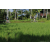 Team 40 / Raid l'Arbre Vert Amazones Bali - VTT