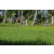 Team 10 / Raid l'Arbre Vert Amazones Bali - VTT