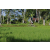 Team 50 / Raid l'Arbre Vert Amazones Bali - VTT
