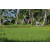 Team 50 / Raid l'Arbre Vert Amazones Bali - VTT