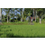 Team 13 / Raid l'Arbre Vert Amazones Bali - VTT