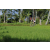 Team 13 / Raid l'Arbre Vert Amazones Bali - VTT