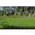 Team 13 / Raid l'Arbre Vert Amazones Bali - VTT