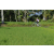 Team 14 / Raid l'Arbre Vert Amazones Bali - VTT