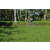Team 28 / Raid l'Arbre Vert Amazones Bali - VTT