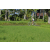 Team 14 / Raid l'Arbre Vert Amazones Bali - VTT
