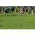 Team 13 / Raid l'Arbre Vert Amazones Bali - VTT
