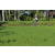 Team 14 / Raid l'Arbre Vert Amazones Bali - VTT