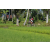 Team 05 / Raid l'Arbre Vert Amazones Bali - VTT