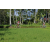 Team 05 / Raid l'Arbre Vert Amazones Bali - VTT