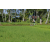Team 19 / Raid l'Arbre Vert Amazones Bali - VTT