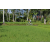 Team 19 / Raid l'Arbre Vert Amazones Bali - VTT