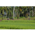 Team 26 / Raid l'Arbre Vert Amazones Bali - VTT