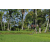 Team 16 / Raid l'Arbre Vert Amazones Bali - VTT