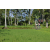 Team 16 / Raid l'Arbre Vert Amazones Bali - VTT