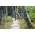 Team 25 / Raid l'Arbre Vert Amazones Bali - VTT