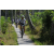 Team 14 / Raid l'Arbre Vert Amazones Bali - VTT