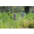 Team 18 / Raid l'Arbre Vert Amazones Bali - VTT