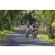 Team 22 / Raid l'Arbre Vert Amazones Bali - VTT