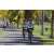 Team 14 / Raid l'Arbre Vert Amazones Bali - VTT