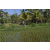 Team 18 / Raid l'Arbre Vert Amazones Bali - VTT