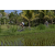 Team 56 / Raid l'Arbre Vert Amazones Bali - VTT