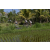 Team 11 / Raid l'Arbre Vert Amazones Bali - VTT