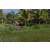 Team 43 / Raid l'Arbre Vert Amazones Bali - VTT