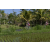 Team 43 / Raid l'Arbre Vert Amazones Bali - VTT