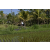 Team 36 / Raid l'Arbre Vert Amazones Bali - VTT
