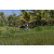 Team 36 / Raid l'Arbre Vert Amazones Bali - VTT