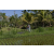 Team 36 / Raid l'Arbre Vert Amazones Bali - VTT